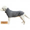 CC-Rascal-Grey-03